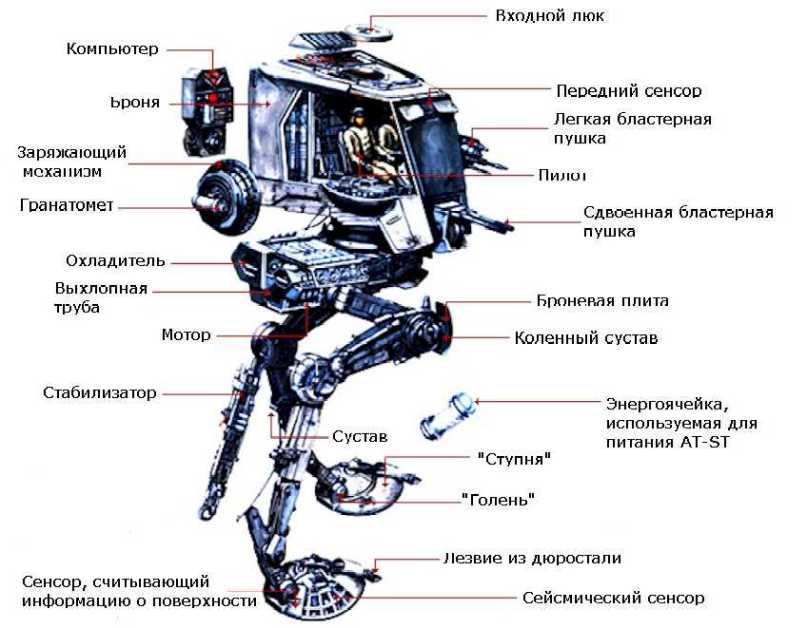 Презентация строение роботов